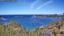 ./images/calvert/foggy-cove/20260612/foggy-cove20260612_113501M.jpg