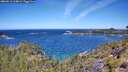 ./images/calvert/foggy-cove/20260612/foggy-cove20260612_114001M.jpg