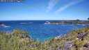 ./images/calvert/foggy-cove/20260612/foggy-cove20260612_114502M.jpg