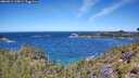 ./images/calvert/foggy-cove/20260612/foggy-cove20260612_115001M.jpg