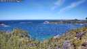 ./images/calvert/foggy-cove/20260612/foggy-cove20260612_115501M.jpg