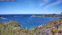 ./images/calvert/foggy-cove/20260612/foggy-cove20260612_120002M.jpg