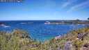 ./images/calvert/foggy-cove/20260612/foggy-cove20260612_120501M.jpg
