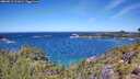 ./images/calvert/foggy-cove/20260612/foggy-cove20260612_121001M.jpg