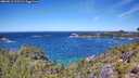 ./images/calvert/foggy-cove/20260612/foggy-cove20260612_121501M.jpg