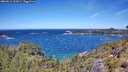 ./images/calvert/foggy-cove/20260612/foggy-cove20260612_122001M.jpg