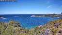 ./images/calvert/foggy-cove/20260612/foggy-cove20260612_122501M.jpg