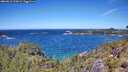 ./images/calvert/foggy-cove/20260612/foggy-cove20260612_123001M.jpg