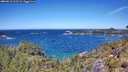 ./images/calvert/foggy-cove/20260612/foggy-cove20260612_123501M.jpg