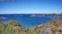 ./images/calvert/foggy-cove/20260612/foggy-cove20260612_124501M.jpg