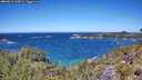 ./images/calvert/foggy-cove/20260612/foggy-cove20260612_125001M.jpg