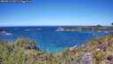 ./images/calvert/foggy-cove/20260612/foggy-cove20260612_125501M.jpg