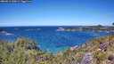 ./images/calvert/foggy-cove/20260612/foggy-cove20260612_130001M.jpg