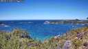 ./images/calvert/foggy-cove/20260612/foggy-cove20260612_130501M.jpg