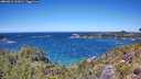 ./images/calvert/foggy-cove/20260612/foggy-cove20260612_131001M.jpg