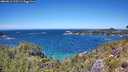 ./images/calvert/foggy-cove/20260612/foggy-cove20260612_132501M.jpg