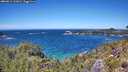 ./images/calvert/foggy-cove/20260612/foggy-cove20260612_133001M.jpg