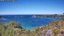 ./images/calvert/foggy-cove/20260612/foggy-cove20260612_133502M.jpg