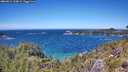 ./images/calvert/foggy-cove/20260612/foggy-cove20260612_134001M.jpg