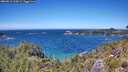 ./images/calvert/foggy-cove/20260612/foggy-cove20260612_134501M.jpg