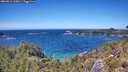 ./images/calvert/foggy-cove/20260612/foggy-cove20260612_135001M.jpg