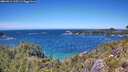 ./images/calvert/foggy-cove/20260612/foggy-cove20260612_135501M.jpg