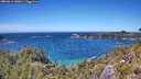 ./images/calvert/foggy-cove/20260612/foggy-cove20260612_140001M.jpg