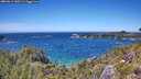 ./images/calvert/foggy-cove/20260612/foggy-cove20260612_140501M.jpg