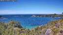 ./images/calvert/foggy-cove/20260612/foggy-cove20260612_141002M.jpg