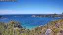 ./images/calvert/foggy-cove/20260612/foggy-cove20260612_141501M.jpg