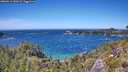 ./images/calvert/foggy-cove/20260612/foggy-cove20260612_142001M.jpg