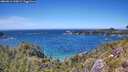./images/calvert/foggy-cove/20260612/foggy-cove20260612_143002M.jpg