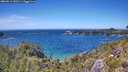 ./images/calvert/foggy-cove/20260612/foggy-cove20260612_143501M.jpg