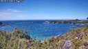 ./images/calvert/foggy-cove/20260612/foggy-cove20260612_144001M.jpg