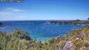 ./images/calvert/foggy-cove/20260612/foggy-cove20260612_144501M.jpg