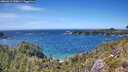 ./images/calvert/foggy-cove/20260612/foggy-cove20260612_150001M.jpg