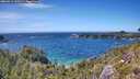 ./images/calvert/foggy-cove/20260612/foggy-cove20260612_150501M.jpg