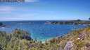 ./images/calvert/foggy-cove/20260612/foggy-cove20260612_151001M.jpg