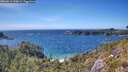 ./images/calvert/foggy-cove/20260612/foggy-cove20260612_155001M.jpg