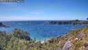 ./images/calvert/foggy-cove/20260612/foggy-cove20260612_155501M.jpg