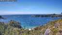 ./images/calvert/foggy-cove/20260612/foggy-cove20260612_160001M.jpg