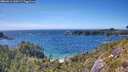 ./images/calvert/foggy-cove/20260612/foggy-cove20260612_160501M.jpg