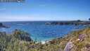 ./images/calvert/foggy-cove/20260612/foggy-cove20260612_161501M.jpg