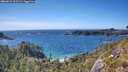 ./images/calvert/foggy-cove/20260612/foggy-cove20260612_163501M.jpg