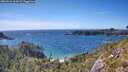 ./images/calvert/foggy-cove/20260612/foggy-cove20260612_164501M.jpg