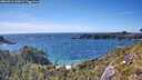 ./images/calvert/foggy-cove/20260612/foggy-cove20260612_165001M.jpg