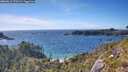 ./images/calvert/foggy-cove/20260612/foggy-cove20260612_172002M.jpg
