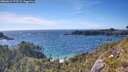 ./images/calvert/foggy-cove/20260612/foggy-cove20260612_172501M.jpg