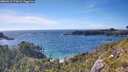 ./images/calvert/foggy-cove/20260612/foggy-cove20260612_173002M.jpg