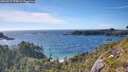 ./images/calvert/foggy-cove/20260612/foggy-cove20260612_174501M.jpg